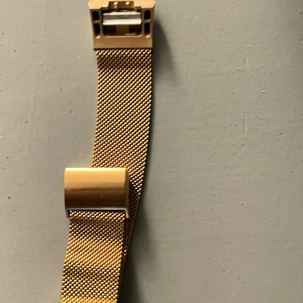 Fitbit wrist bracelet